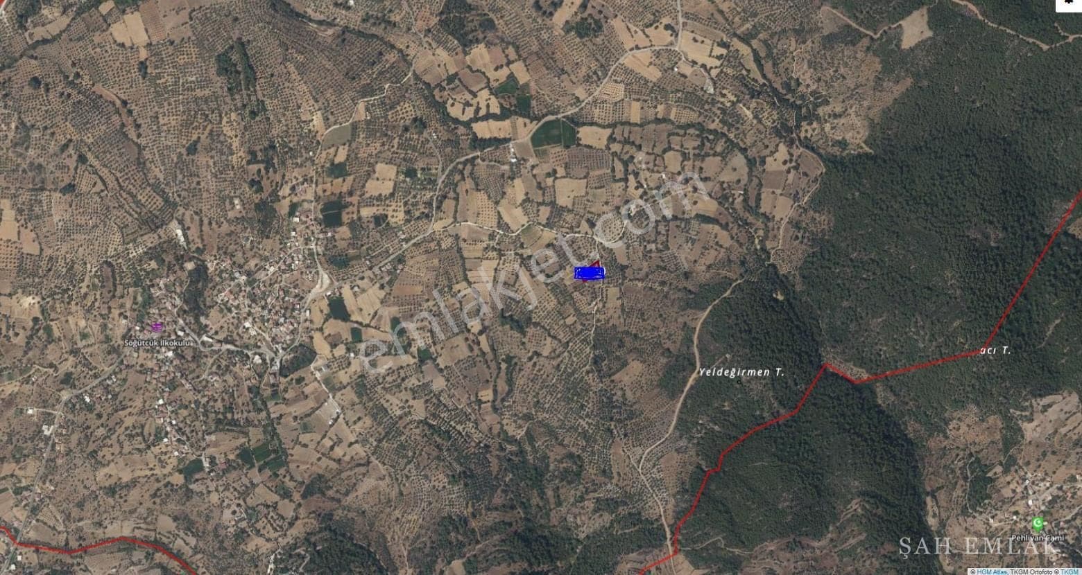 1.300 m² Olivenhain-Feld direkt an der Straße in Söğütçük, mit Container