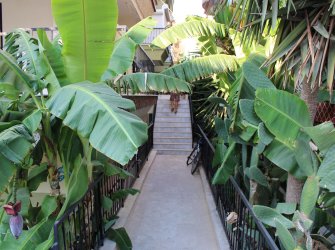 aydın didim altınkum mahallesi denize 300 mt 4+1 eşyalı dubleks