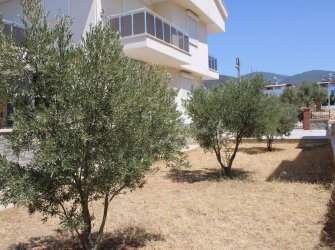 AYDIN DİDİM AKBÜK 5+1 TAM MÜSTAKİL VİLLA